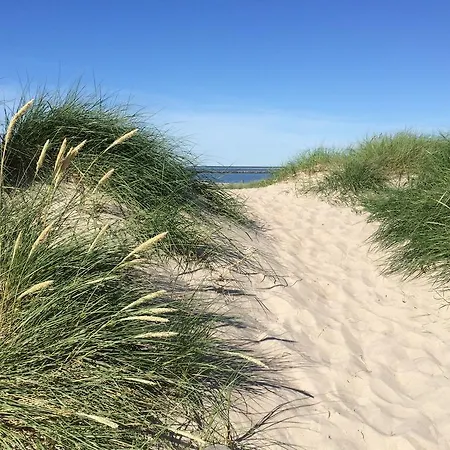 Ferienhaus Buhne V * 그랄뮈리츠